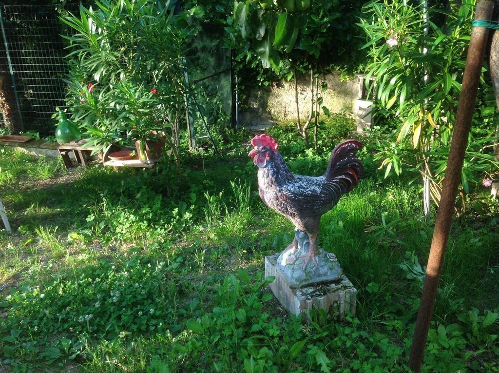 Il Giardino Del Gallo Фолиньо Экстерьер фото